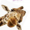 Giraffe Design