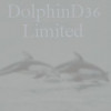 Dolphind36 Web Design